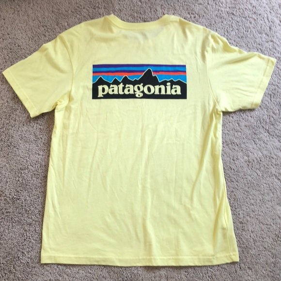 Patagonia Other - NWOT Patagonia tshirt